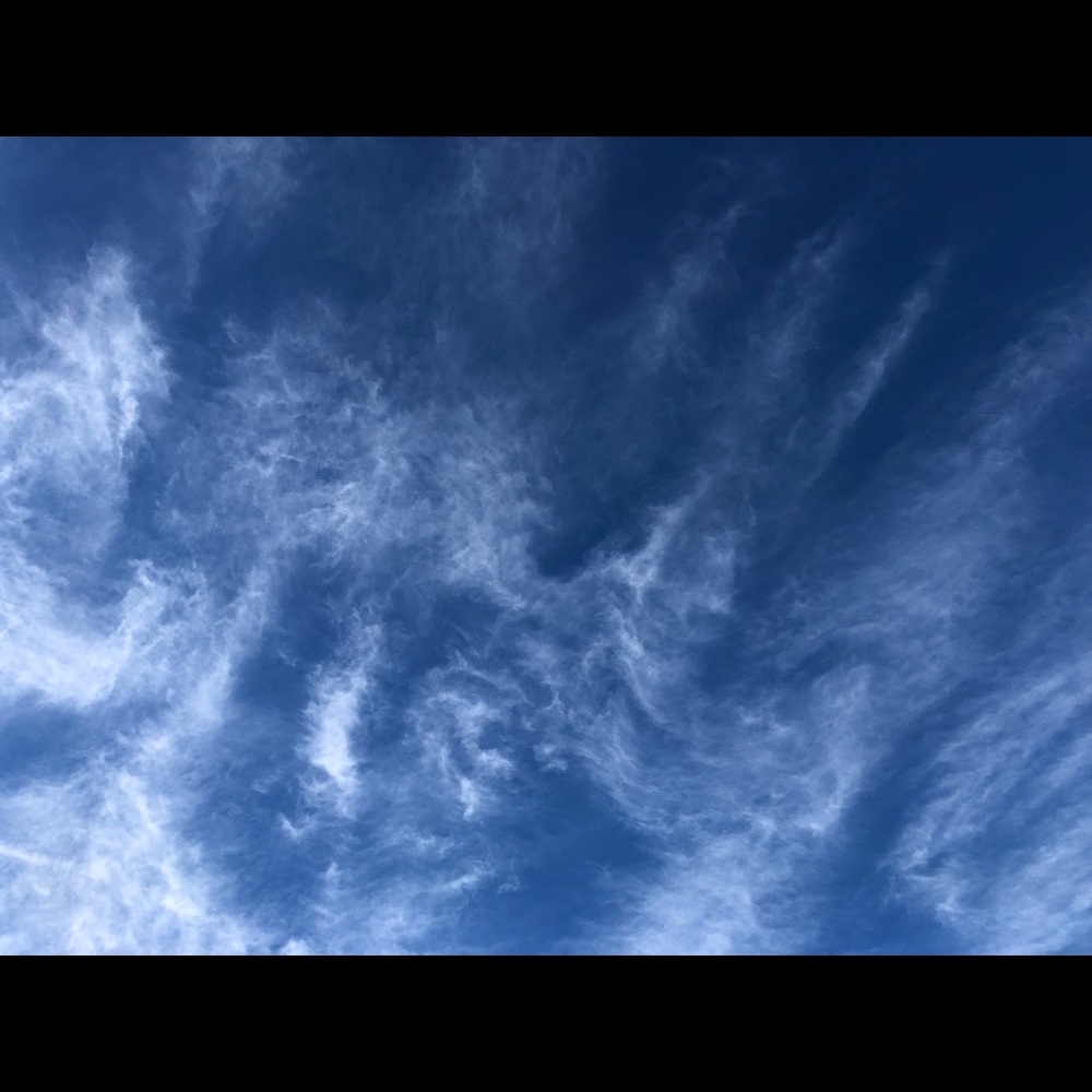 Meet your Posher, Rachael